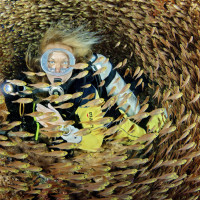 In the school of glassfish