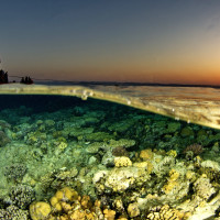 Sunset inthe Reef