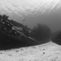 Kittiwake Wreck
