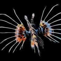 Lionfish_ fractal image