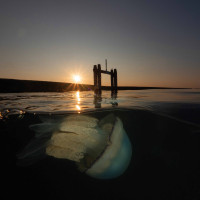 Wide Angle without diver