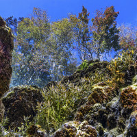 A window through the water