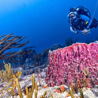 Exploring Florida’s Atlantic coast