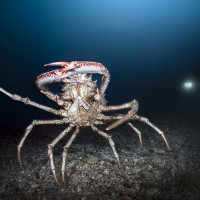 And turn off those headlights... how annoying you are!!!