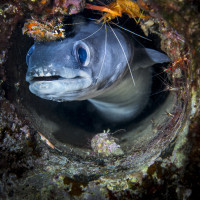 Too many prying eyes!!!