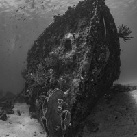 Berwin Wreck - Carlisle Bay, Barbados