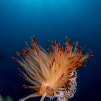 New generation will come soon