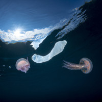 Something is wrong with humanity