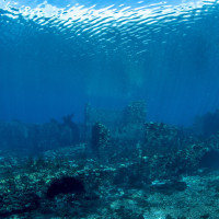 The sunken town