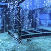 Bubbling wreck Cozumel